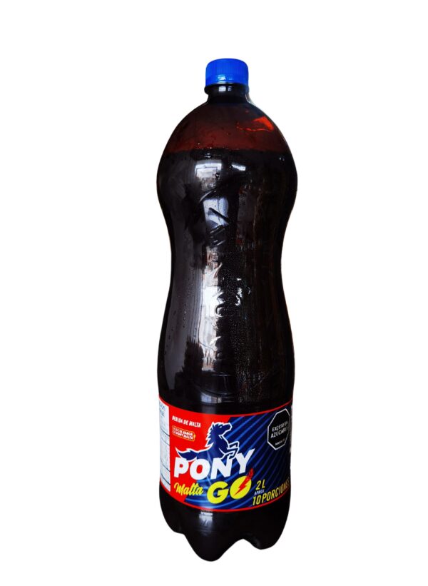 GASE.PONY GO 2L